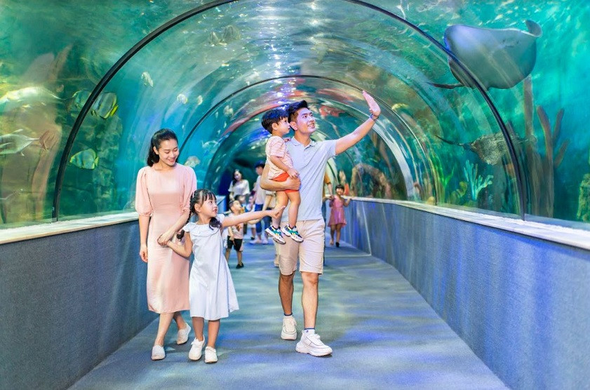 Khám phá 12 Làng nghề Hà Nội Nổi Tiếng: Nét Đẹp Văn Hóa Xưa Giữa Lòng Thủ Đô 14 Chiêm ngưỡng thế giới đại dương thu nhỏ đẹp lung linh tại thủy cung Times City