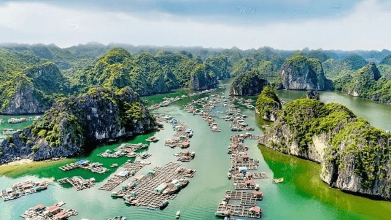 lich bay can tho di hai phong 64c0cca27d674 1