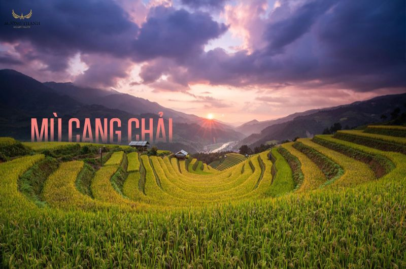 TOP 14 Điểm Đến Tuyệt Đẹp Cho Chuyến Du Lịch Tây Bắc Trọn Vẹn 2 Những thửa ruộng bậc thang mùa lúa chín ở Mù Cang Chải